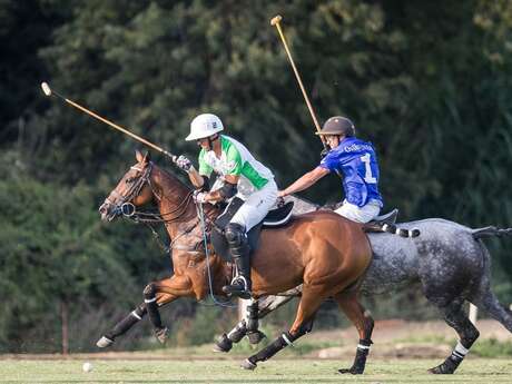 Tournoi de polo - Ambassadors cup