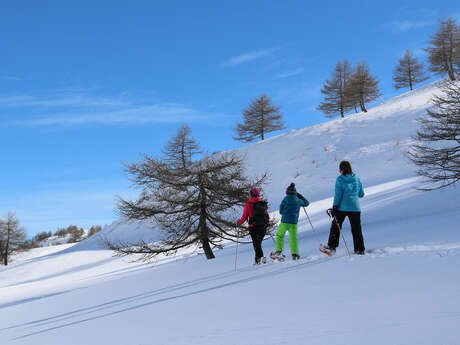 Montagnes d'Ubaye : raquettes