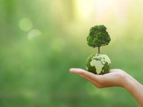 Éveil culturel : L'environnement