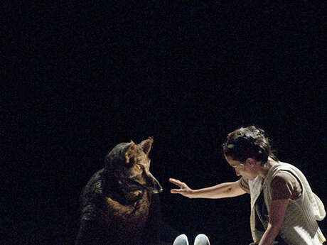 Le Petit Chaperon rouge