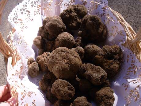 Truffes - Severine Viltet