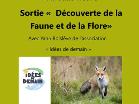 Sortie Découverte de la faune et de la flore