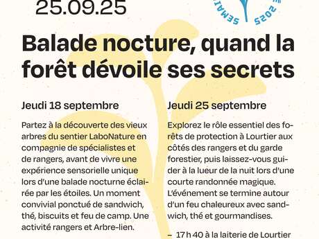 Balade nocture, quand la forêt dévoile ses secrets