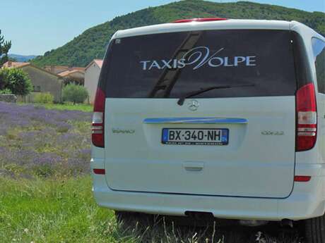 Taxis Volpe