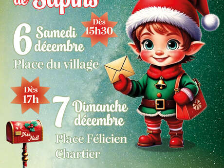 Illuminations de la forêt de sapins à Auriol