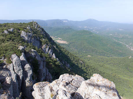 Montagne de la Loube