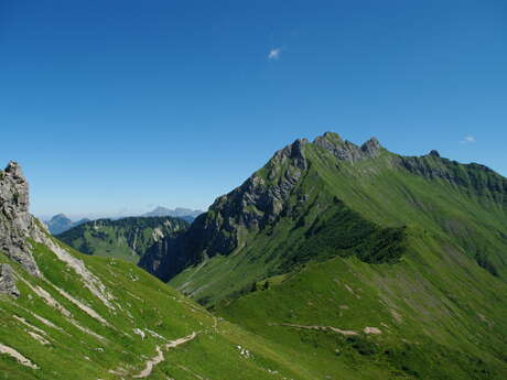 Écotrail de Praz de Lys Sommand - 50 km