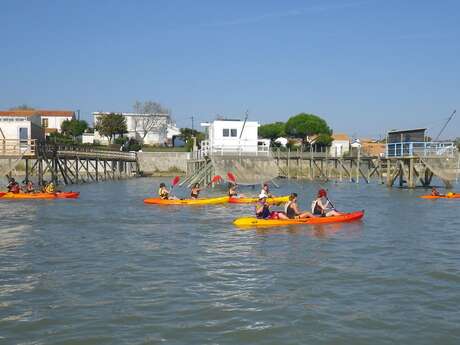 Antioche Kayak : 2 hour trip in the heart of a great French site