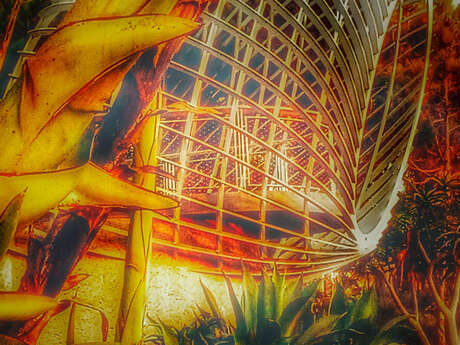 Horizon - Exposition