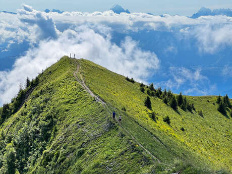 Sentier de randonnée - Le Môle depuis Chez Béroud