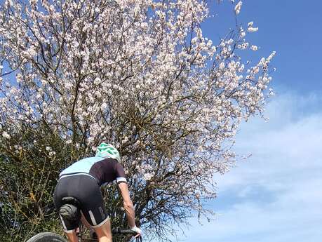 VTT n°10 -  A la découverte des collines pernoises
