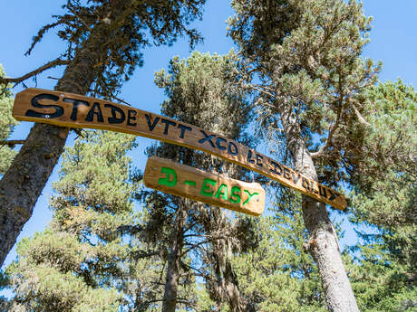 Stade XCO - circuit D-Evo (verte)