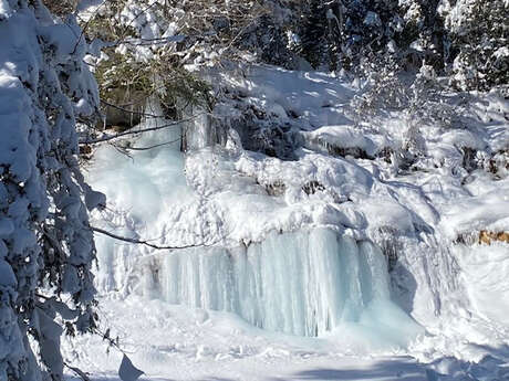 Circuit des cascades de glace, sur les trace du loup