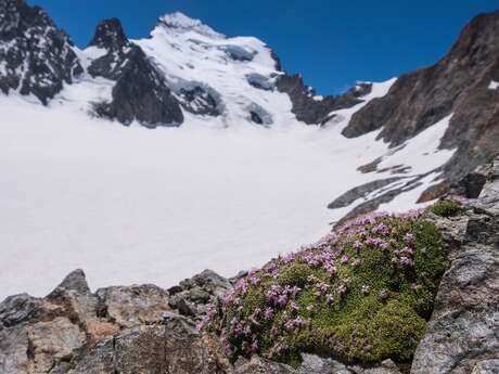 La vie en marge des glaciers