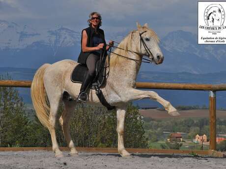 Centre équestre les chevaux du lac