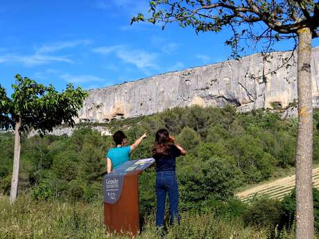 Cliff of the Madeleine