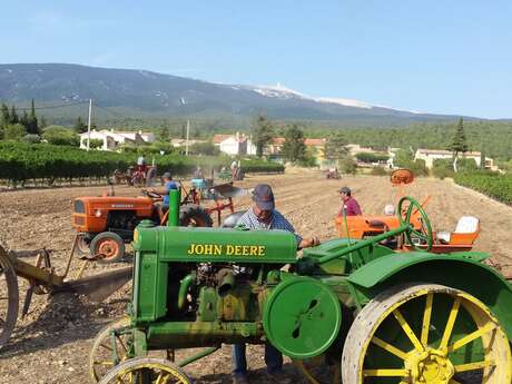 Les Tracteurs Anciens en action à Sainte Colombe