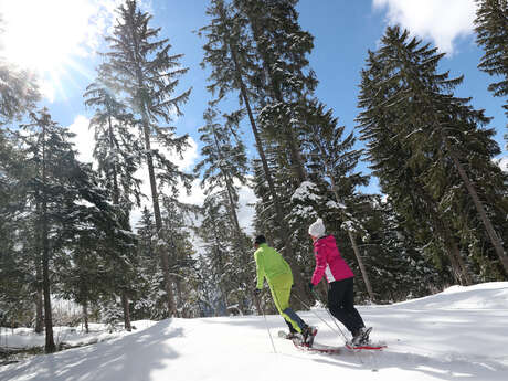 Le Pleynet - Crêt du boeuf