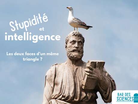 Stupidité et intelligence : les deux faces d’un même triangle ? / FETE DE LA SCIENCE