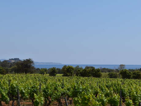 Les châtaigneraies des Maures - Circuit 18