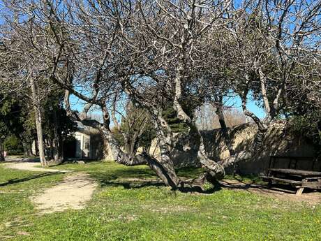 Park der Mühle Peyre