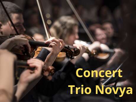 Concert "Trio Novya"