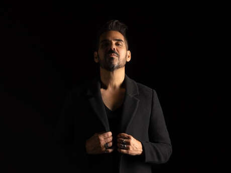 A Tribute to Balavoine - Patrice Carmona