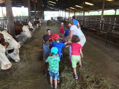 Visite de la ferme de l'Abbaye pour scolaires