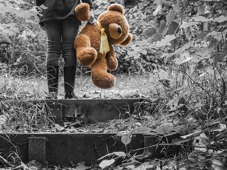 Tristesse et joie dans la vie des girafes