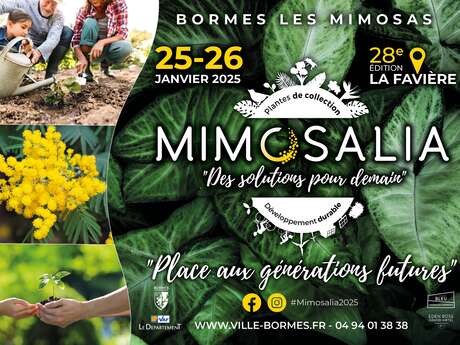 Mimosalia - Atelier "Mon jardin japonais"