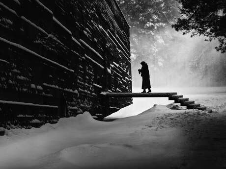 Exposition : Qu’as-tu vu ?