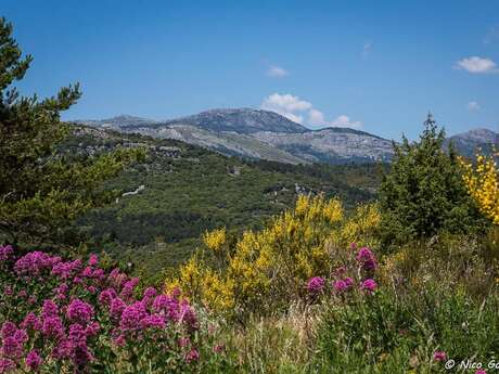 Circuit vélo : N°5 - Saint Paul en Forêt