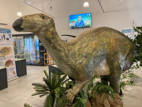 DinoFox Museo : musée des dinosaures