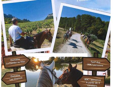 Balade vigneronne avec le Poney Rouge