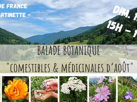 Balade Botanique - Comestibles & Médicinales d'Août