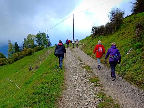 Un bol d'air avec la marche nordique