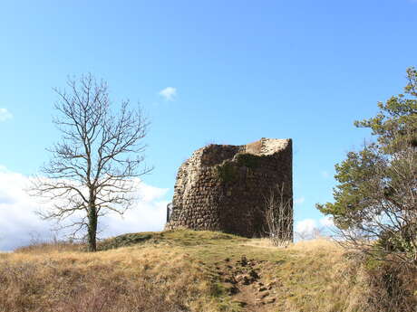 Marche  - La rando  des écoliers gourmands