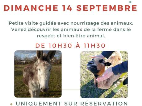 Visite guidée de la ferme animalière des Pibouls