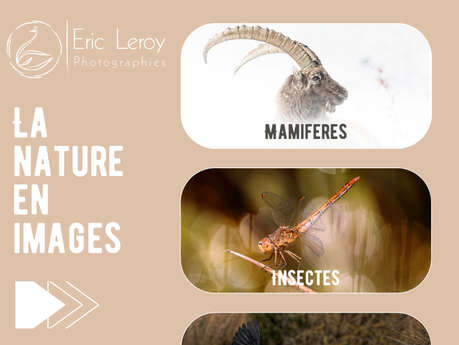 Exposition photo : "La nature en images"