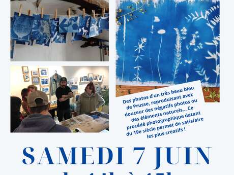 Atelier créatif: le Cyanotype ou procédé au Bleu de Prusse
