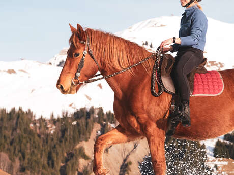 Balade à poney