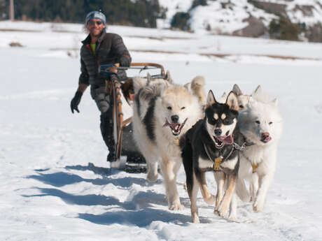 Cani-rando or cani raquettes