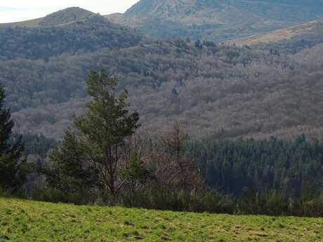 Parcours trail de Chanat