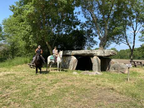 Visite du haras du chêne