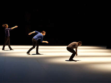 Spectacle • danse : "Promenade Obligatoire" - Anne Nguyen