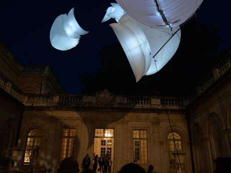 Nuit Européenne des Musées à Avignon - 21e édition