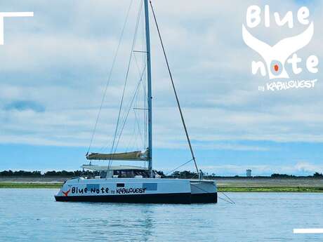 4 horas de navegación en catamarán por Kapalouest - Blue Note 4 horas de navegación en catamarán por Kapalouest - Blue Note