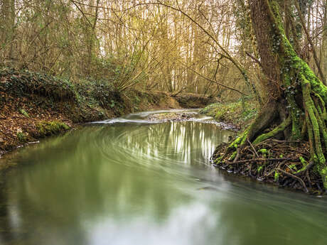 Cibeins grounds