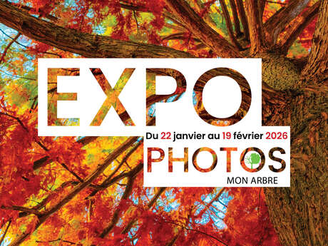Exposition de photos : Mon arbre