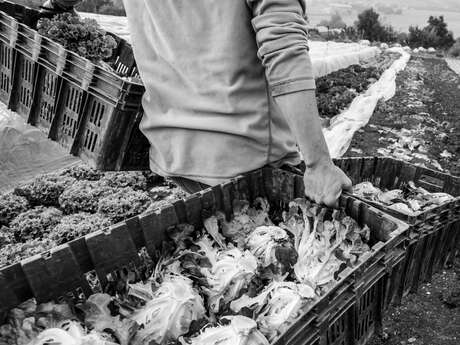 Vernissage de l'exposition "Celles et ceux qui nous nourrissent"